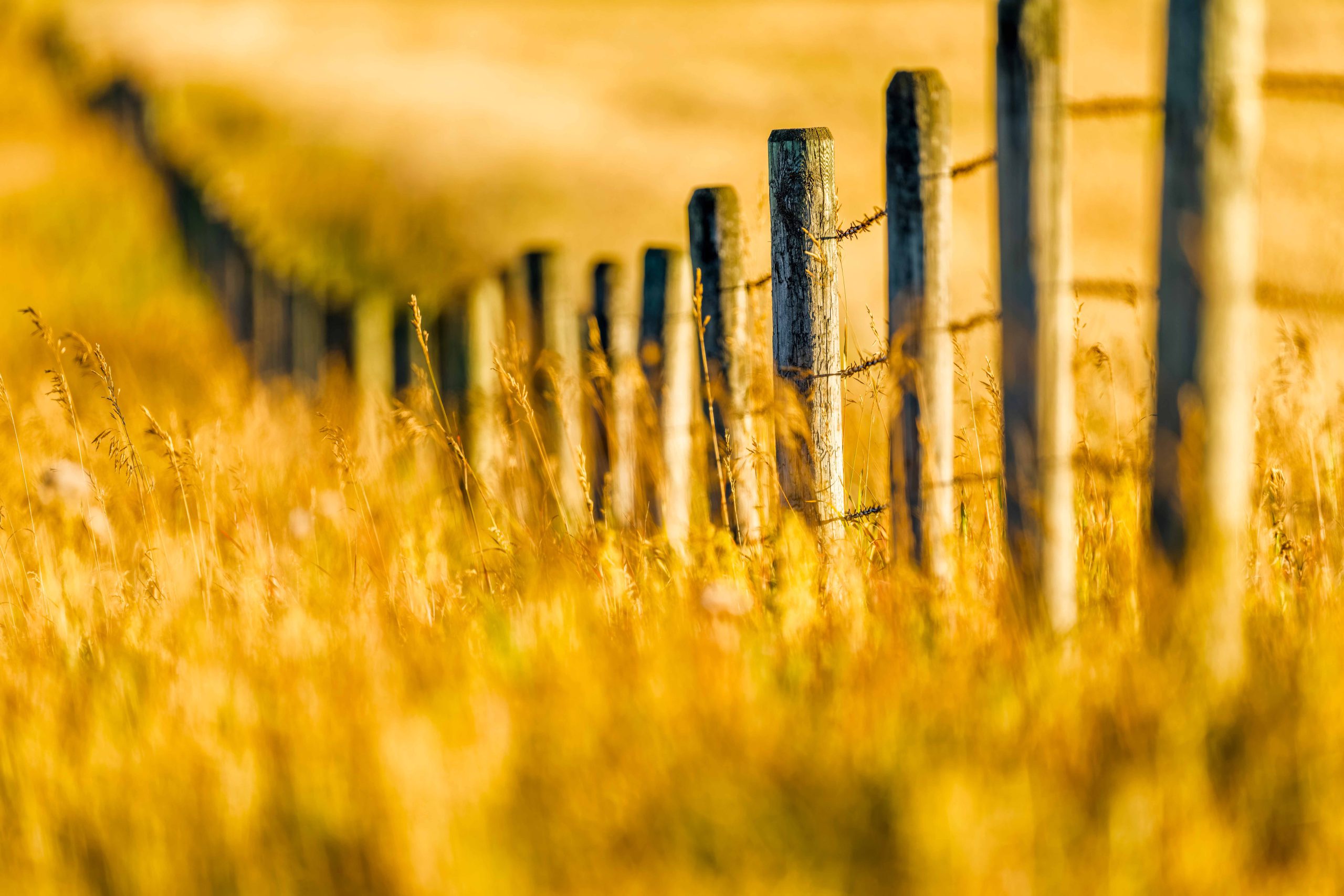 Gage Bitcoin Mine Power Plant