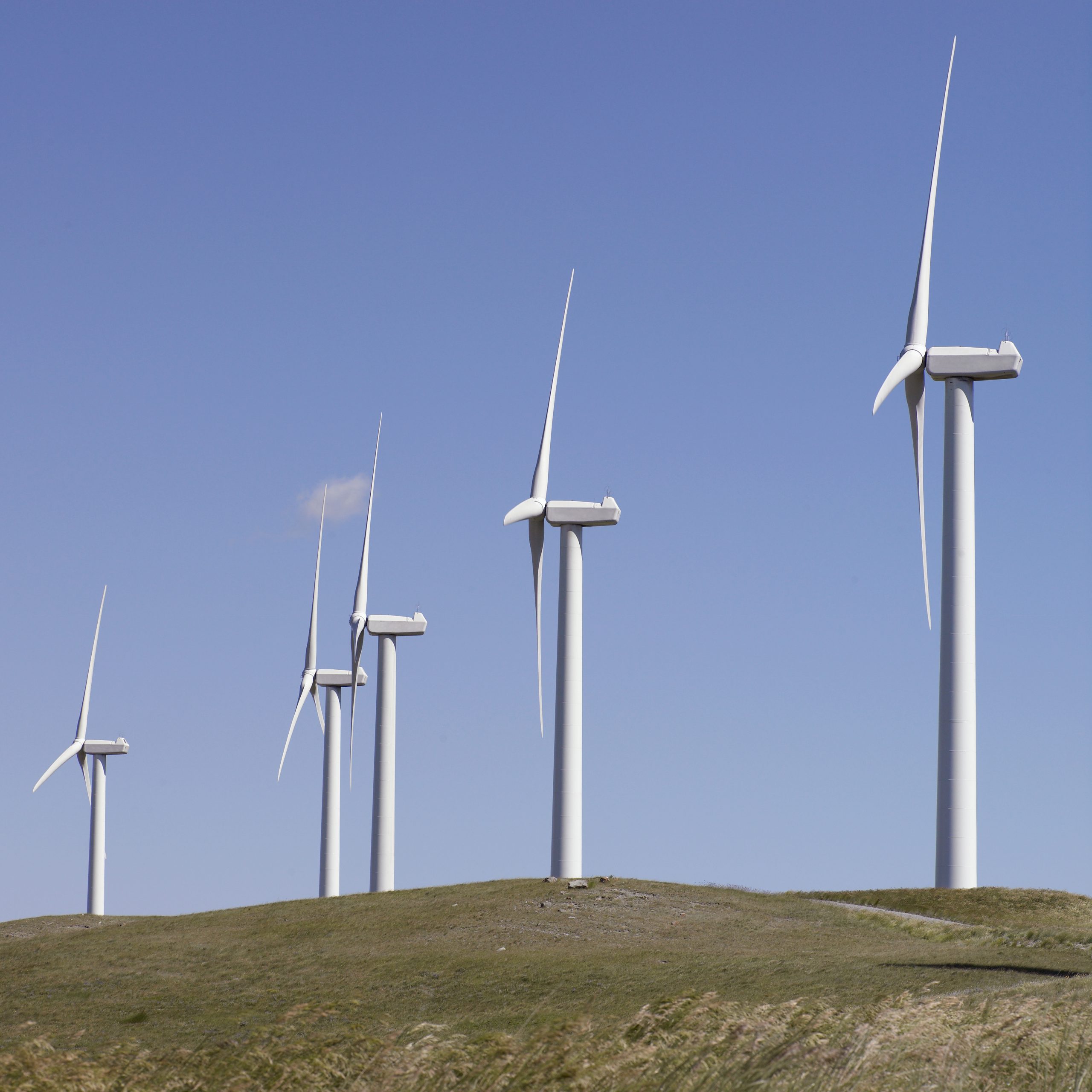 Forty Mile Wind Power Project