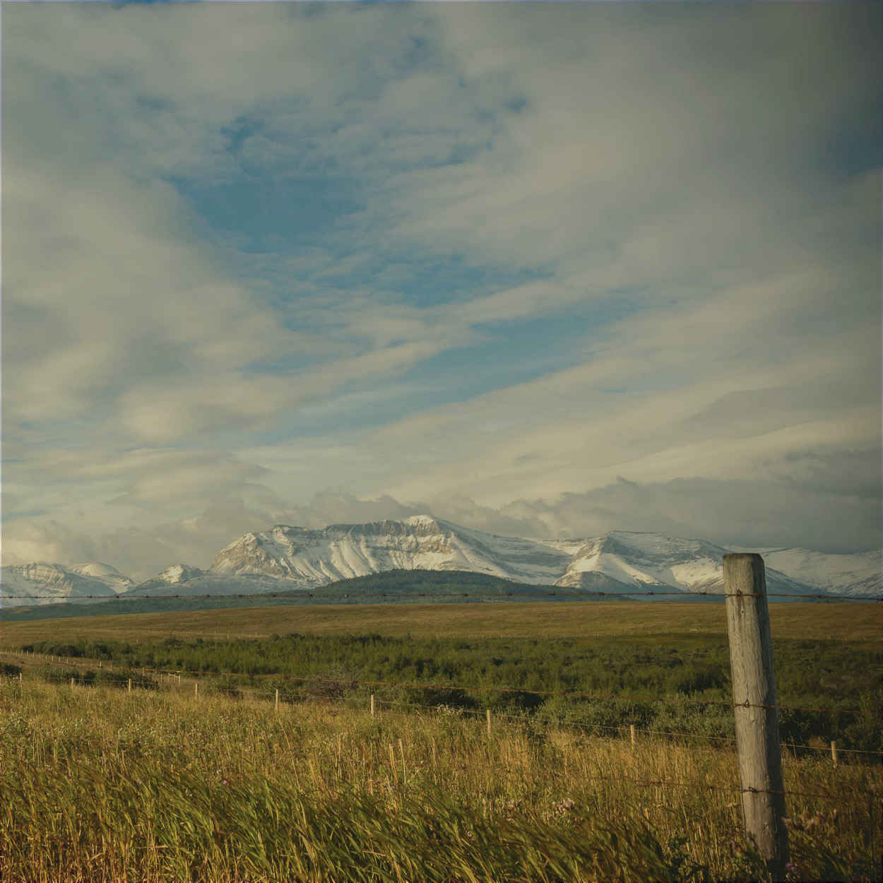 blog img