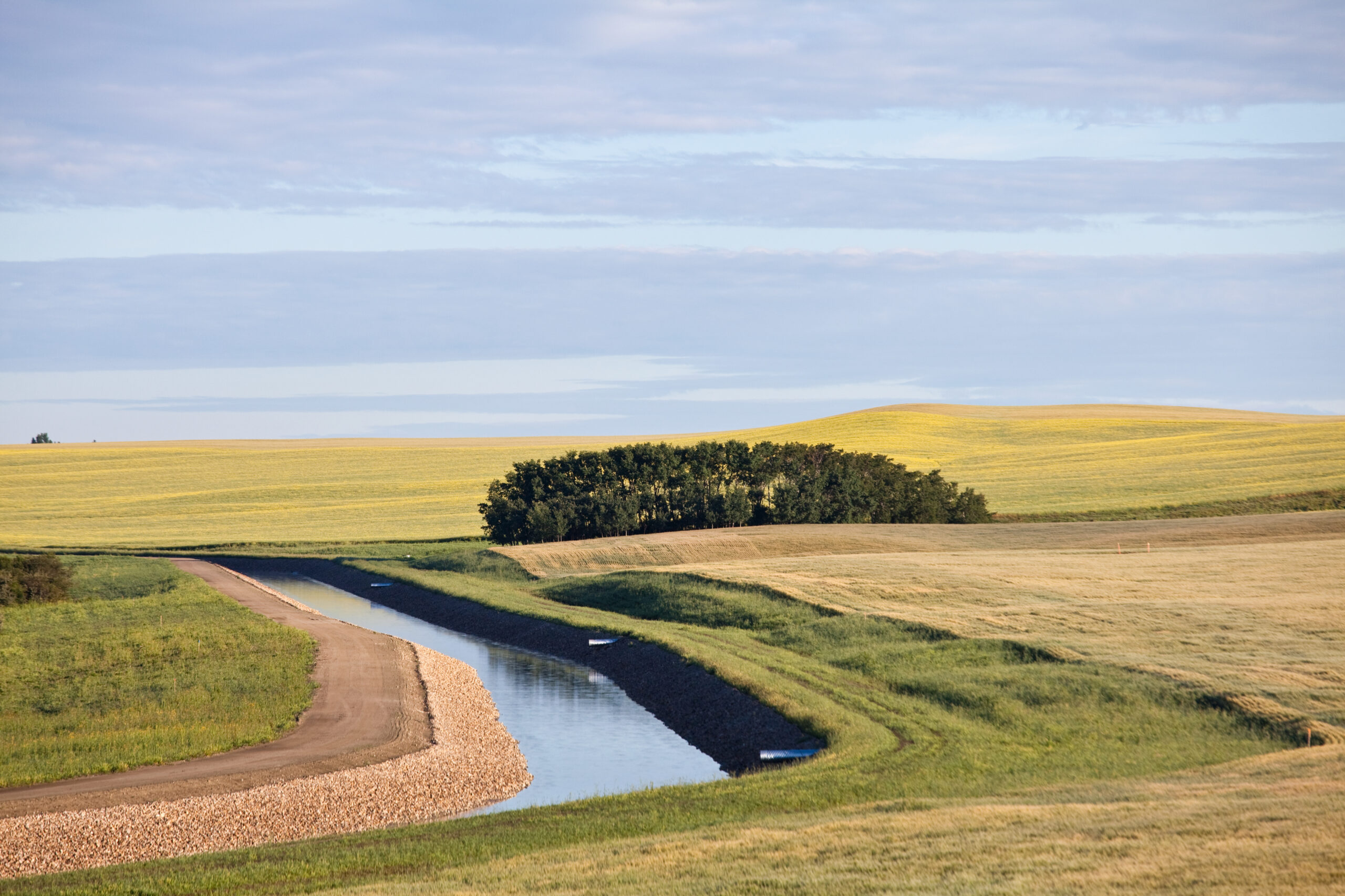 AESO – Final Approval of Interim Market Power Mitigation Rules