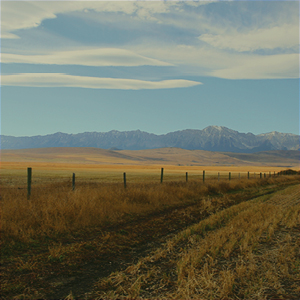 Flipi Gas-Fired Generation Project